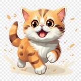 Kita Inu | BNB