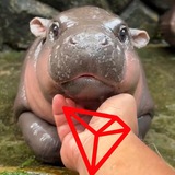 Entry for MOODENG on TRON