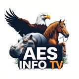 AES INFO TV🇲🇱🇧🇫🇳🇪