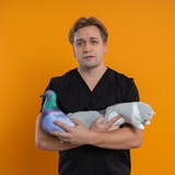 Детский хирург, уролог Никулин