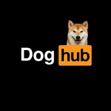 $DOGHUB - PORTAL