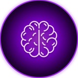 PAAL AI