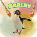 Marley Portal