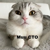 Muu CTO PORTAL