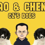 CZ BAO-CHENG