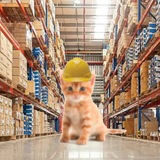 Склад пикч с котятами