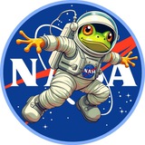 NASA FROG (LADEEFROG)