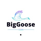 Big Goose Coin