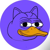 Dukko Coin Entry Portal