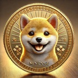 MINIDOGE CTO ASIAN - To 1B MC
