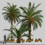 🌴 پاتوق اشعار رفقا و دوستان🌴