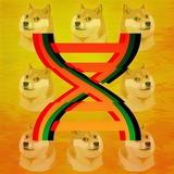 DOGE DNA