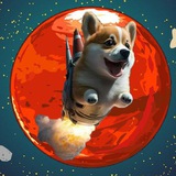 First Dog in Mars
