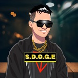 S.D.O.G.E | Portal