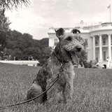 Charlie