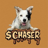 $CHASER 🌎🧠🐕 World's Smartest Dog