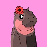 Poppy CTO