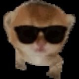 Sweg Cat