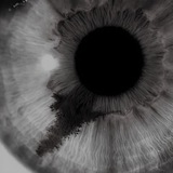 (Sumptous created by dishonesty) Tears on the steering wheel anguish..