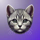 Melo Community