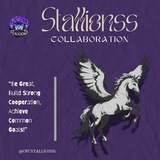 collaboration stallions