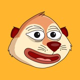 Meerkat Community