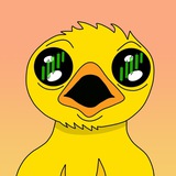🐥 DUCKY | BNB | Official chat