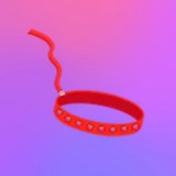 Leash