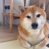 $GENKI Community
