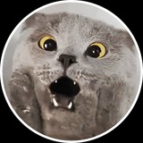 Chartreux $chart CTO