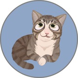 $Wink Portal