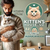 🐈‍⬛ Kittens house uz 👈🏻 (Расмий канал)
