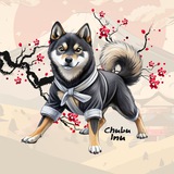 Chubu Inu