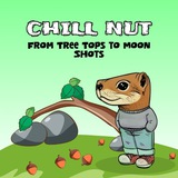 ChillNut $CHILLNUT