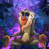 RAFIKI on SOL