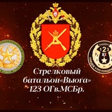 Стрелковый батальон«Вьюга»123 ОГв.МСБр.