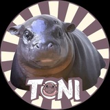 Moodeng Friend • TONI