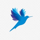 🥇🥇🥇【官方推荐】🔥🐦‍⬛️飞鸟加速器VPN官方频道🐦‍⬛️
