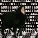 aaa cat
