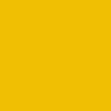 GOLD JETTON Chat