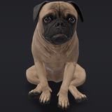 Mudpug portal