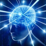 $IMAGINE Portal