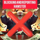 HMSTR PRICE
