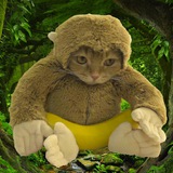 Moncat Jungle Entry