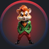 راکی رابیت.همستر.تاپ سواپ.داگز