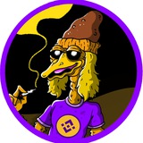 BIRDDOG | BSC | 0x66