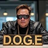 Department of Government Efficiency $D.O.G.E (Portal)