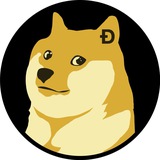 UNDER DOGE