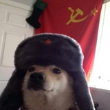 $CDOGE PORTAL
