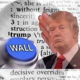 Trump MAGA Wall🇺🇸🧱